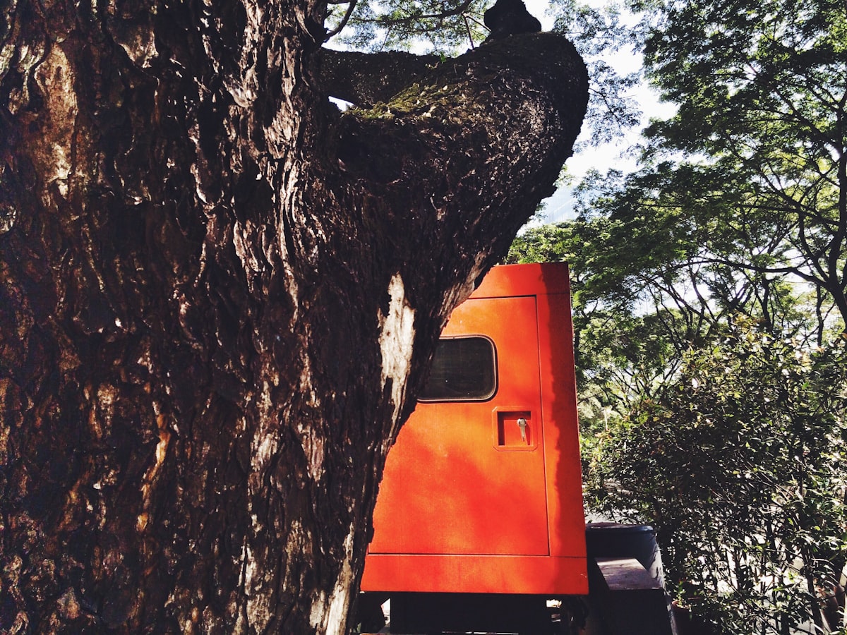 JB's Tree Service